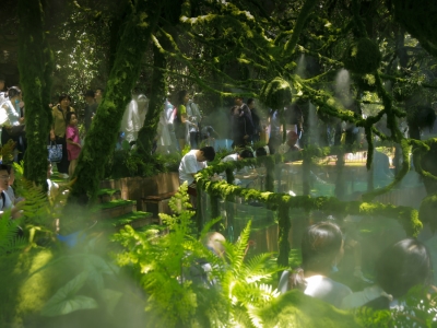 热热热！河南一景区720°降温服务，“排队”排到不想走