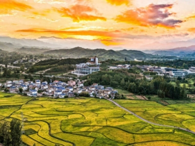 河南鲁山：百亩稻田将黄熟 引客打卡赏秋景