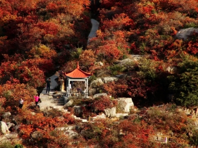 河南的秋日风格，好看又百搭！